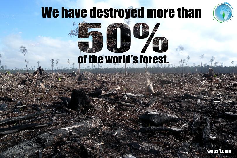 Clean Energy Takeover